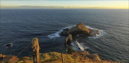 Elephant Rock - Norfolk Island - NSW T (PBH4 00 12340)